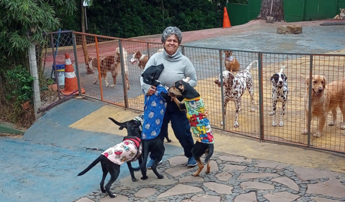 Ajude a protetora Marinalva a dar um lar para seus animais!